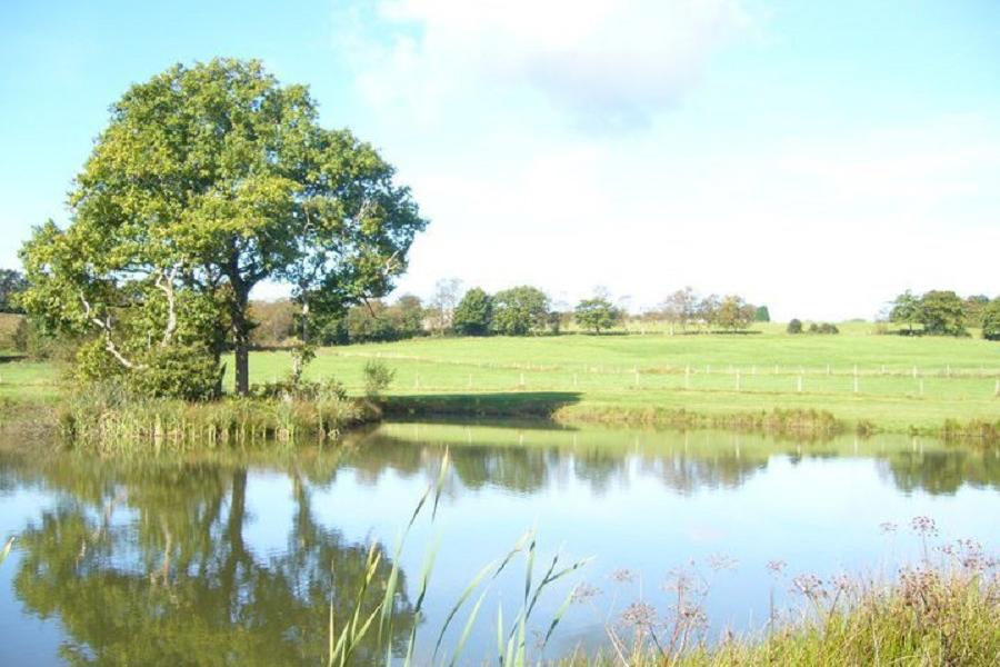 Lake at the Countryman Inn